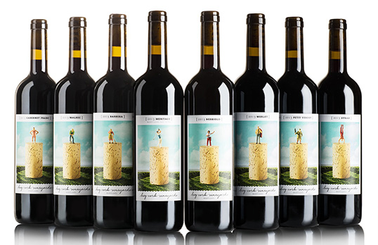 lovely-package-big-cork-vineyards-3