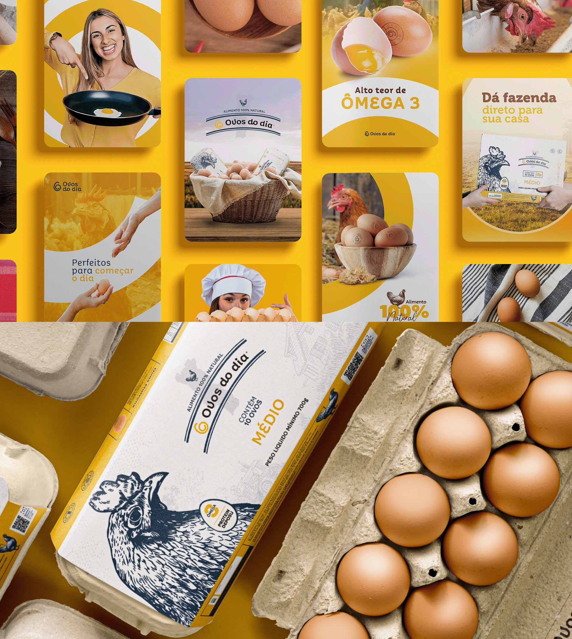 Ovos Do Dia Packaging Design