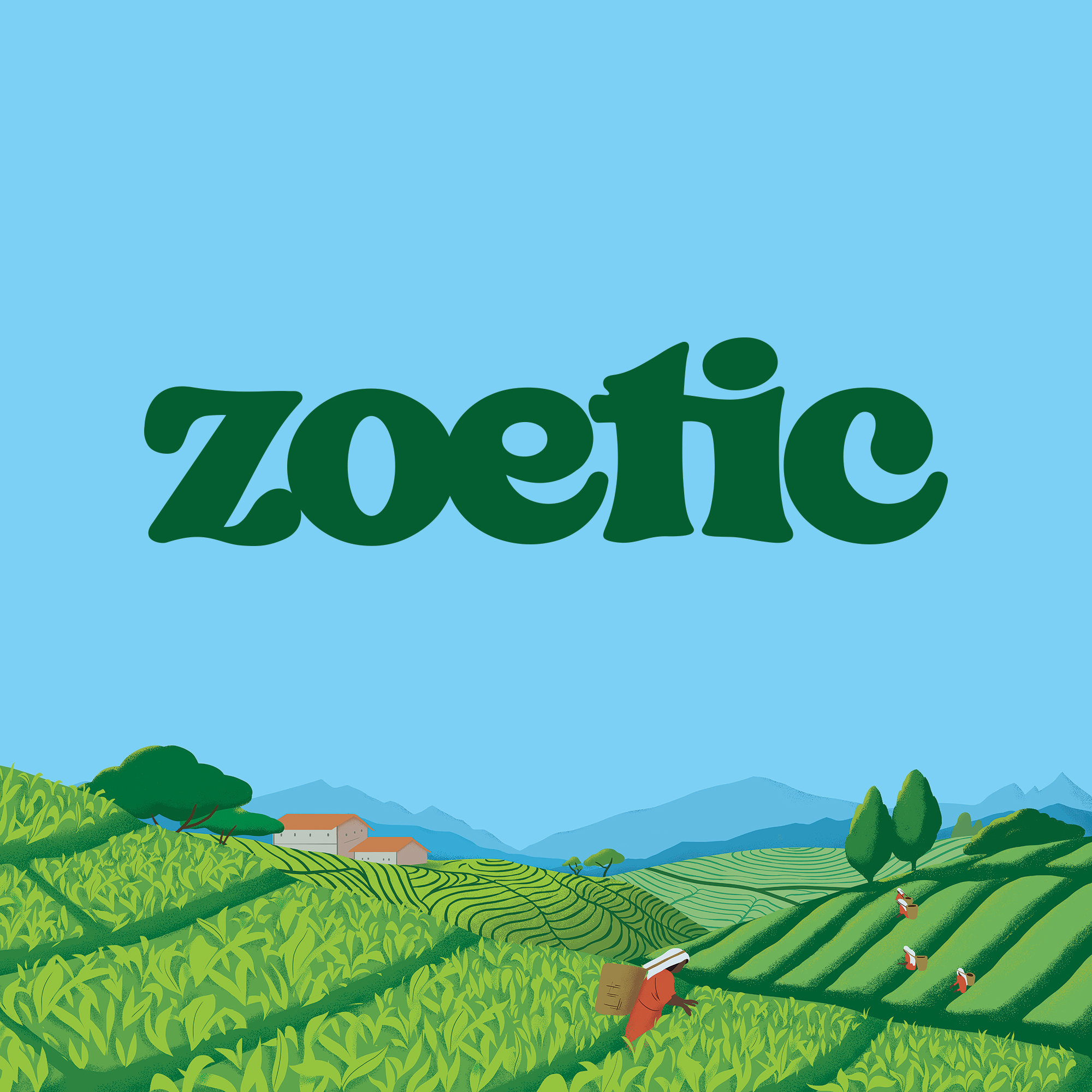Zoetic Organic Teas Packaging Design