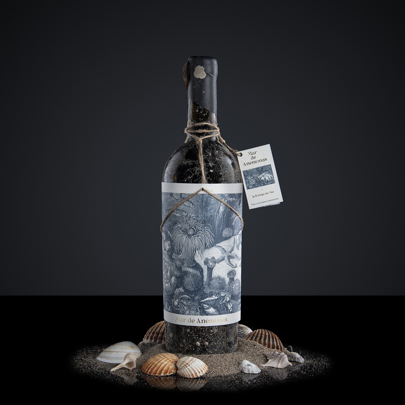 Mar de Anemonas - Underwater Aged Wine