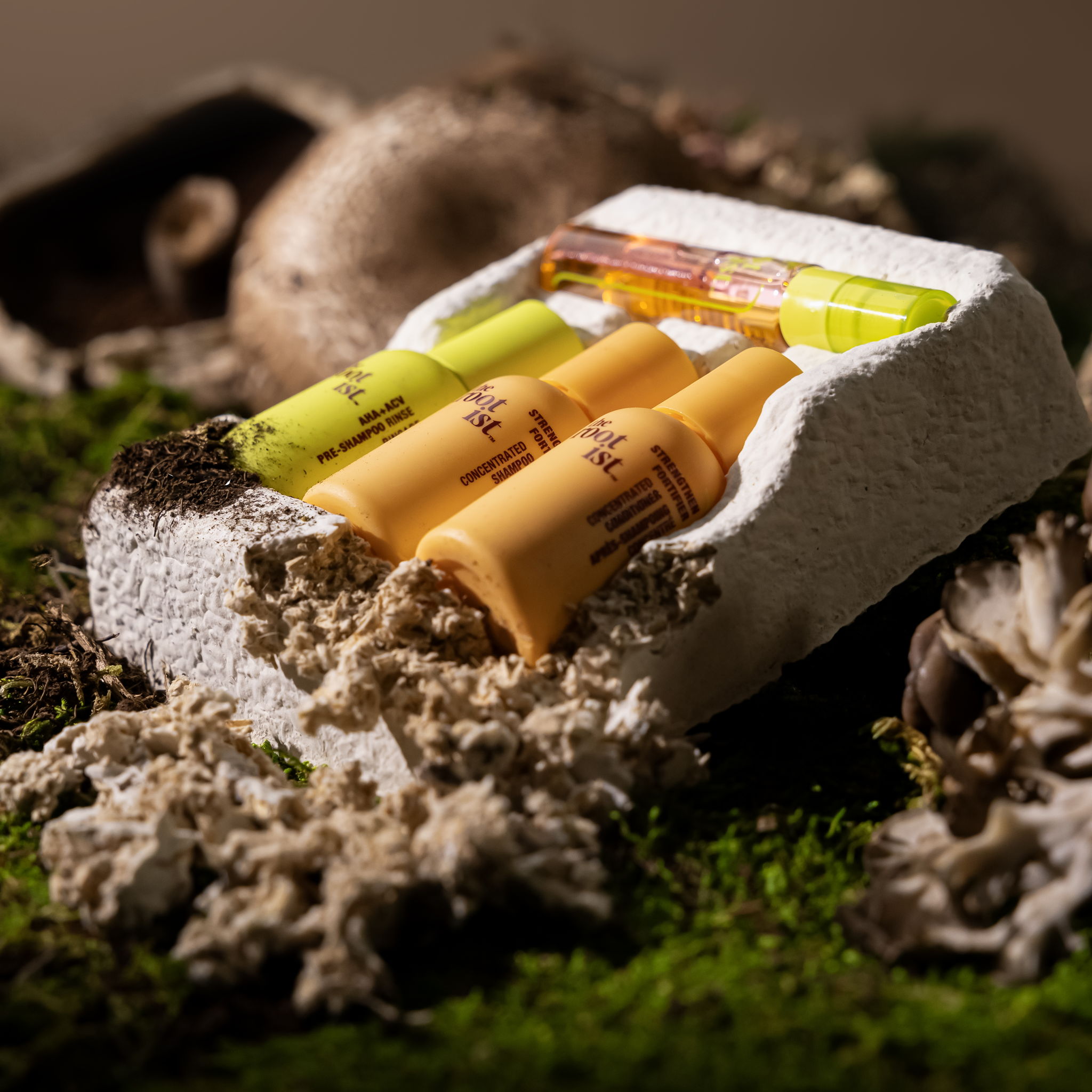 Innovative Mushroom-Based Packaging Used in Haircare Industry