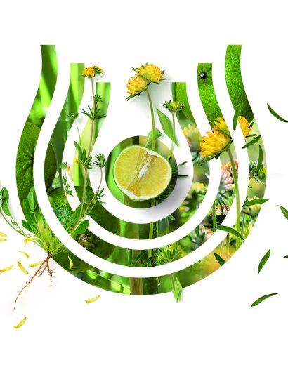 Keyvisual-Body-giftset Keyvisual-Body-giftset