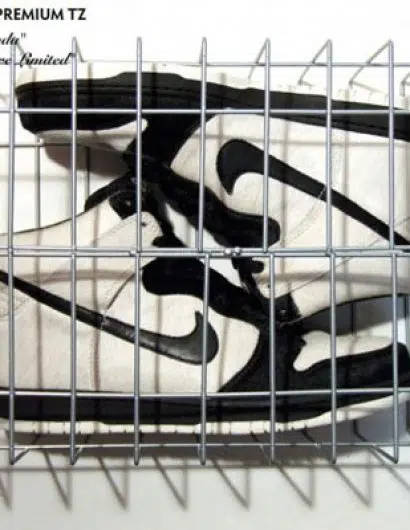 Nike Dunk Hi Premium TZ 